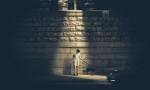 2579xao6 new software name