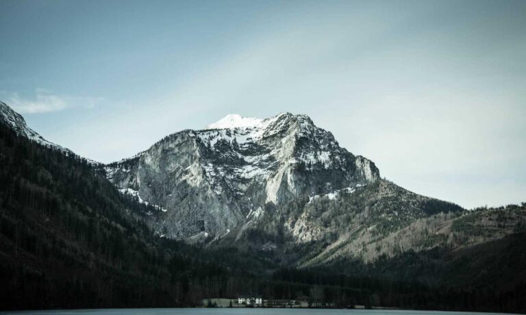 about qullnowisfap products