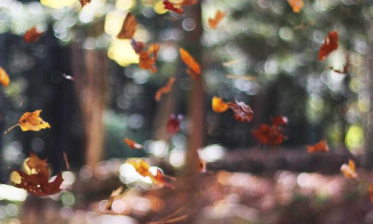 how to visit yukevalo island