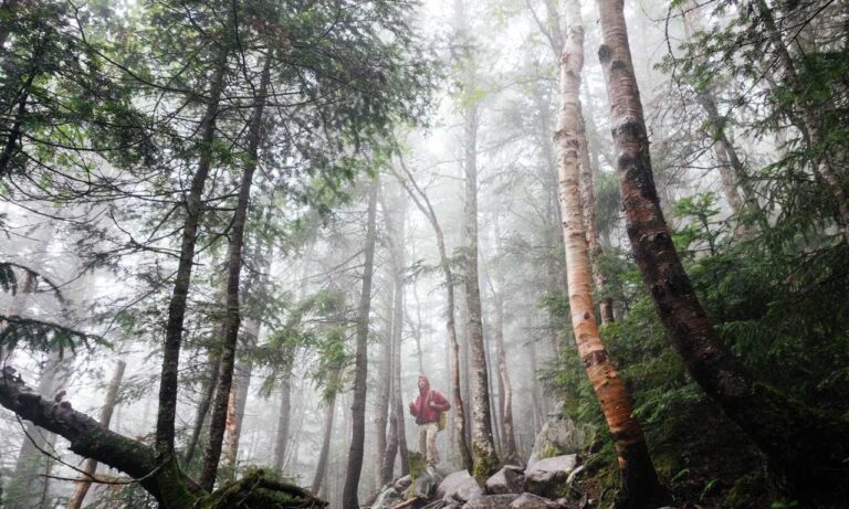 aggr8finance business news by aggreg8