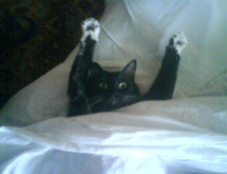 aggr8finance business news by aggreg8