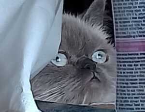 aggr8finance business news by aggreg8