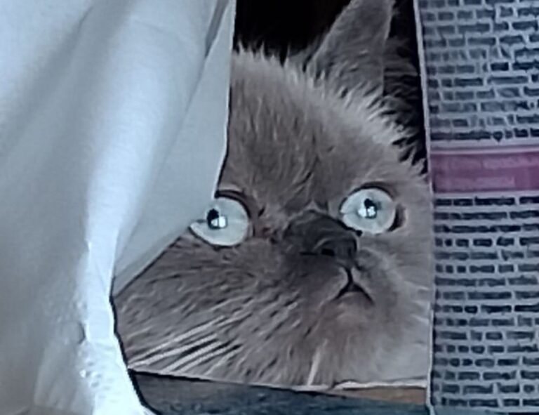 aggr8finance business news by aggreg8