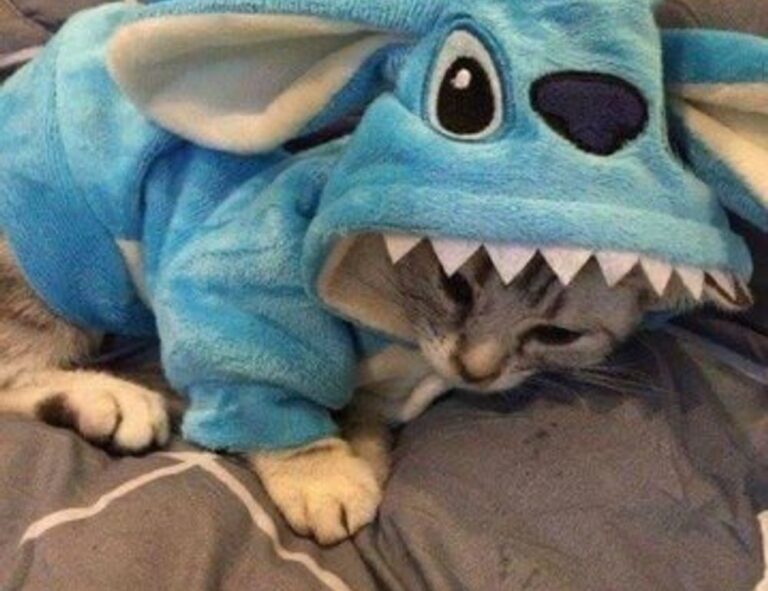 aggr8finance economy news from aggreg8