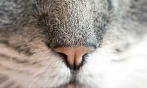 aggr8finance financial updates