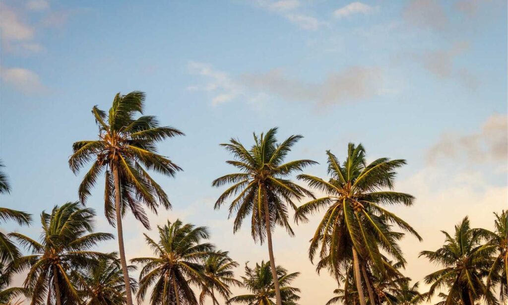 aggr8finance financial updates