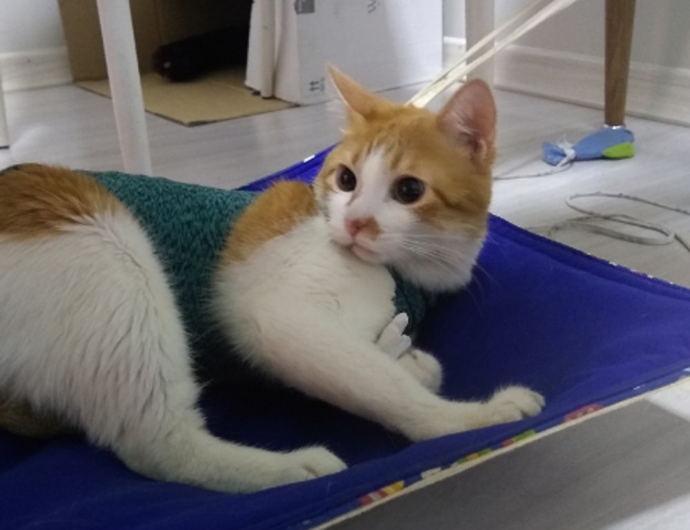 aggr8finance financial updates