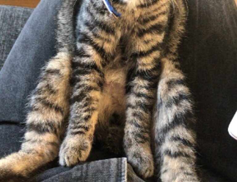 business news aggr8finance