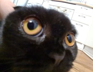 business news aggr8finance