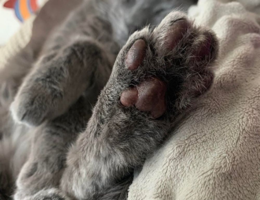 business news aggr8finance