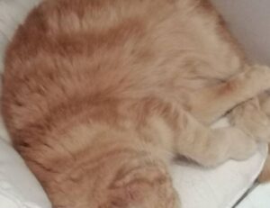 business updates aggr8finance