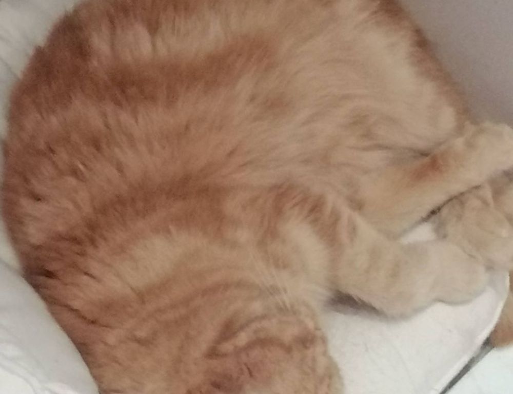 business updates aggr8finance