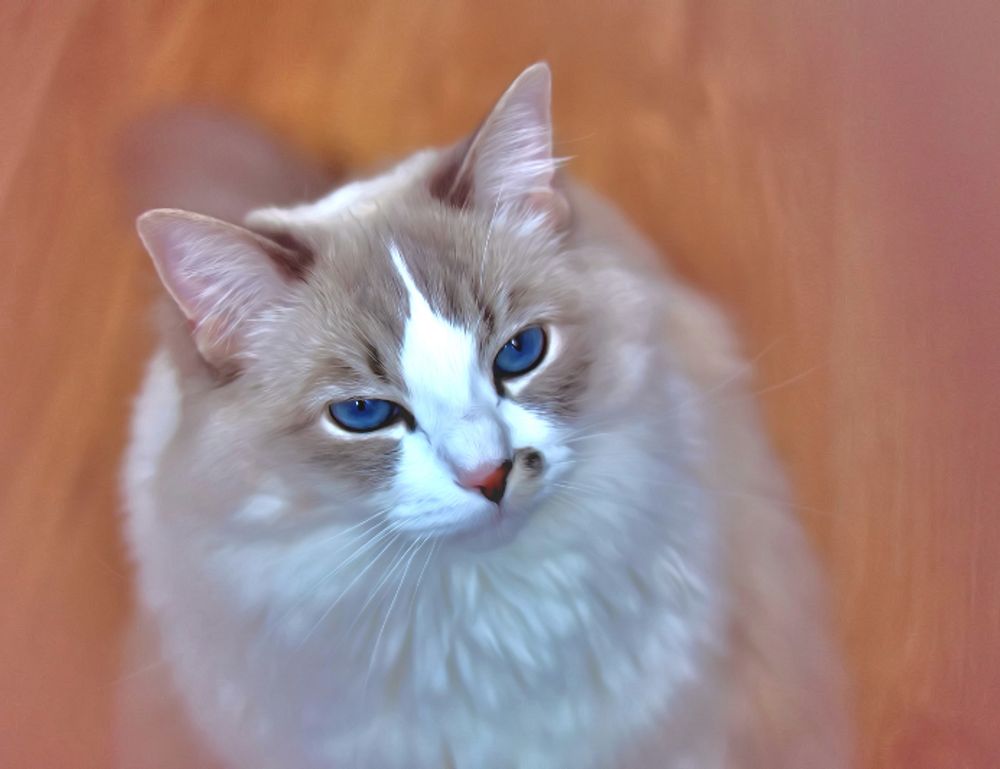 financial news aggr8finance