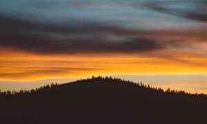 financial updates aggr8finance