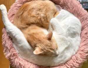 investing news aggr8finance