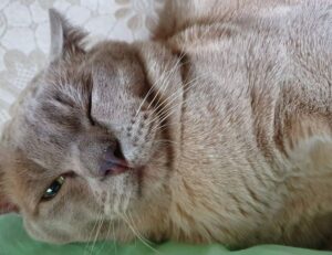 investing news aggr8finance