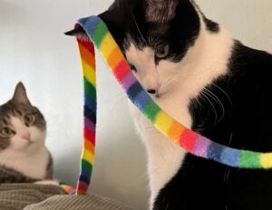 investment news aggr8finance