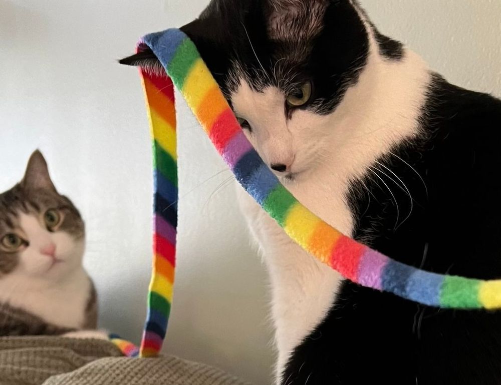 investment news aggr8finance