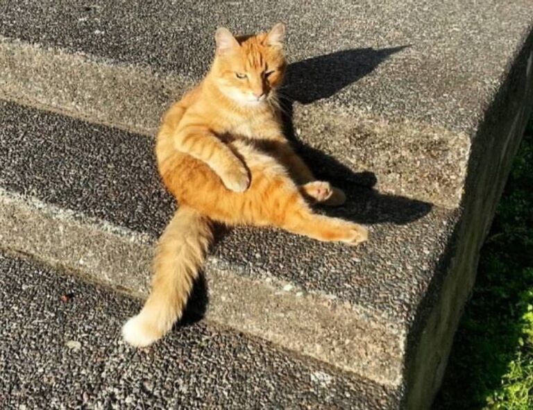 news business aggr8finance