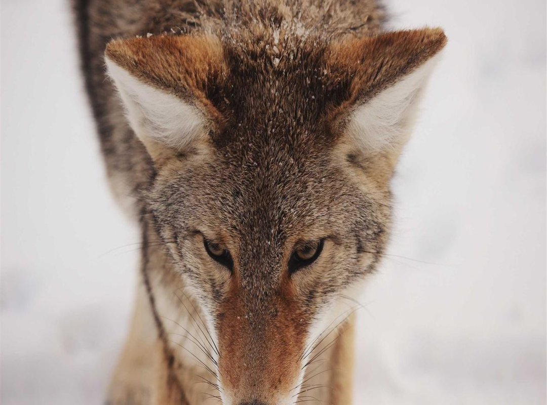 More Fun & Easy BFF Drawing Ideas to Try