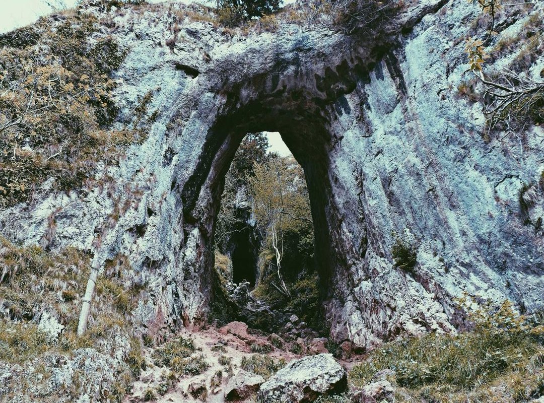 The Final Verdict: Is the BMW M8 a Smart Buy in Sri Lanka?