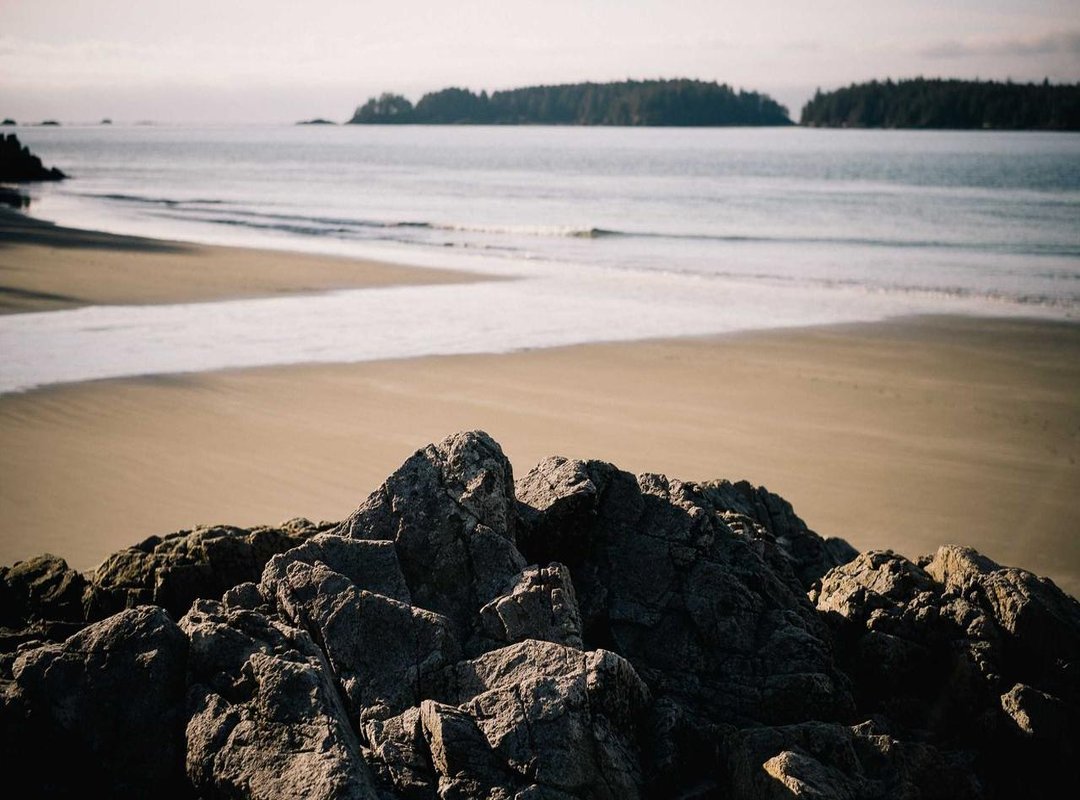 Lidl vs. The Name Brands: A Head-to-Head Comparison