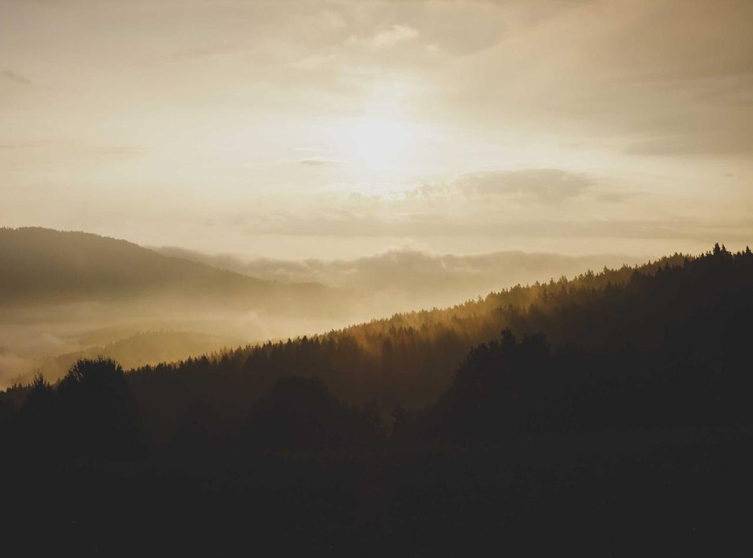 Head-to-Head: Performance, Price, and Practicality