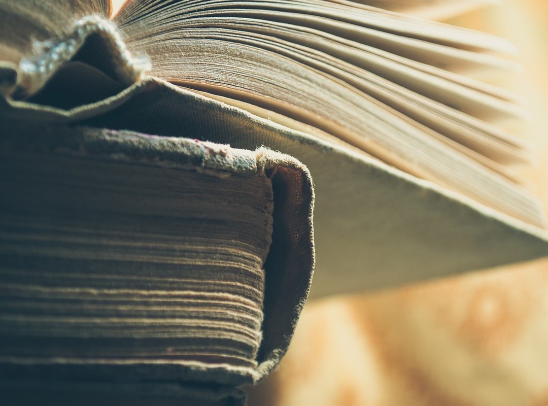 How Her Page Stacks Up Against the Competition